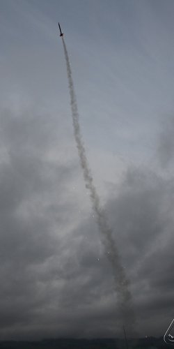 2013 Svojek Mirek Topinka